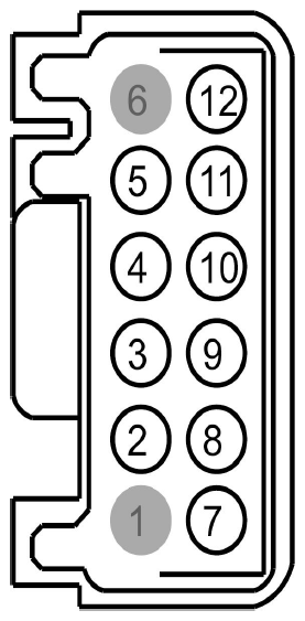 G09131398