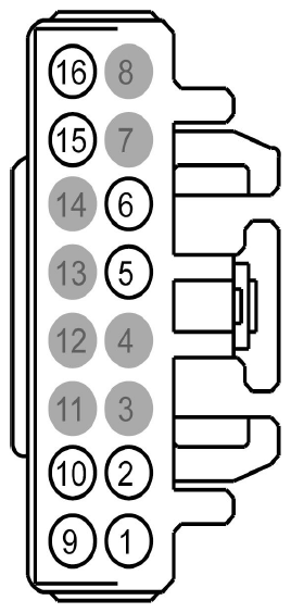 G09131449