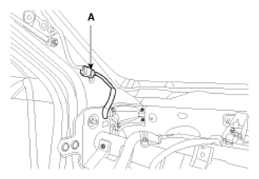 G09134183