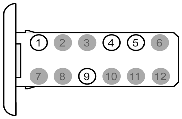 G09253113