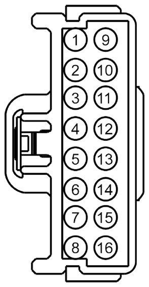 G09301811