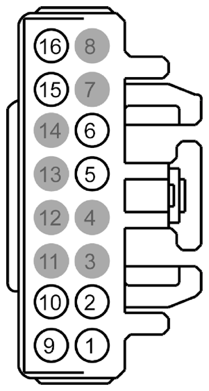 G09301813