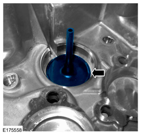 G09551549