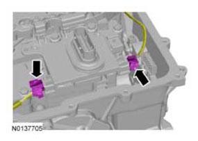 G09688546