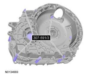 G09731818