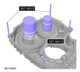 G09731824