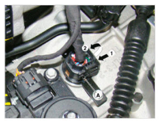 G09765597