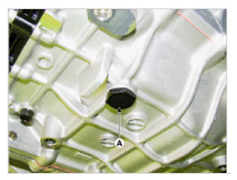 G09773259
