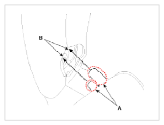 G09774001