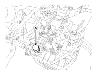 G09779686