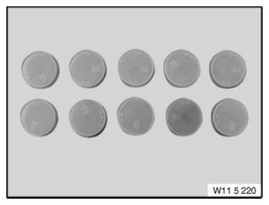 G09965150
