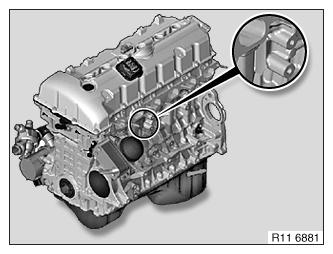 G10144611