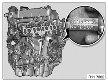 G10185704