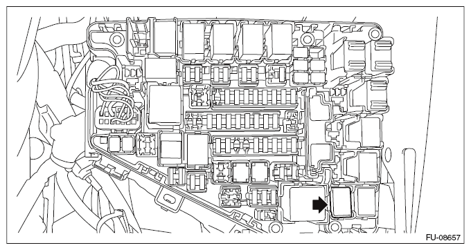 G10262216