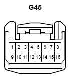 G10281075
