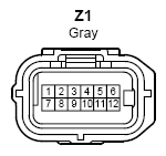 G10281245