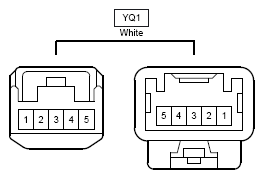 G10341981