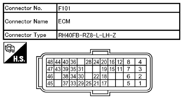 G10676019