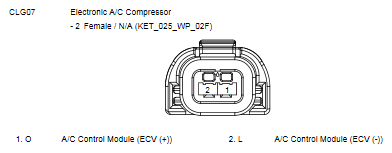 G10775871