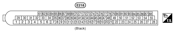 G10843806