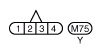 G10847304