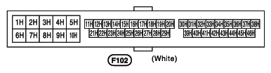 G10855991