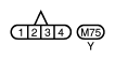 G10875387