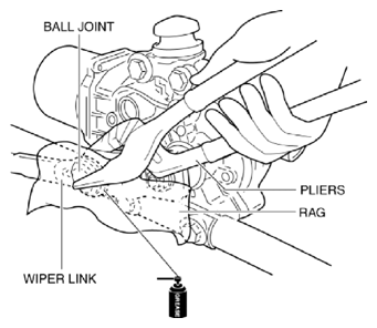 G10954856