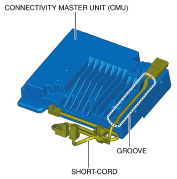 G10954919