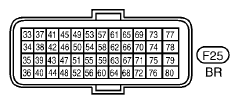 G10957291