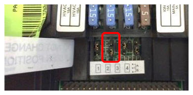G10959198