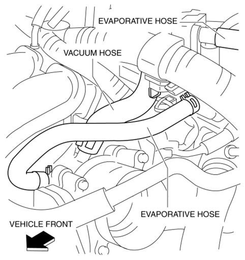 G10968884
