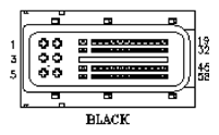 G11013484