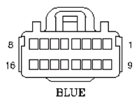 G11013655