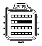 G11013689