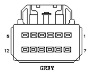 G11019998