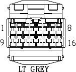 G11027902