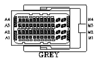 G11039482