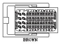 G11039483