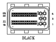 G11039486