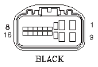G11039544
