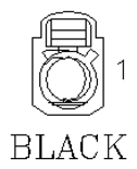 G11045989
