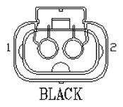 G11047384