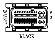 G11047889