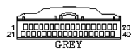 G11059331