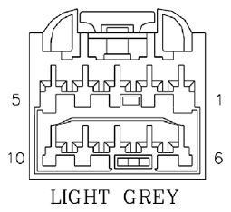 G11061686