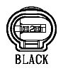 G11067991