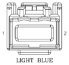 G11070482