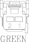 G11076091
