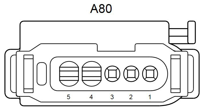 G11076481